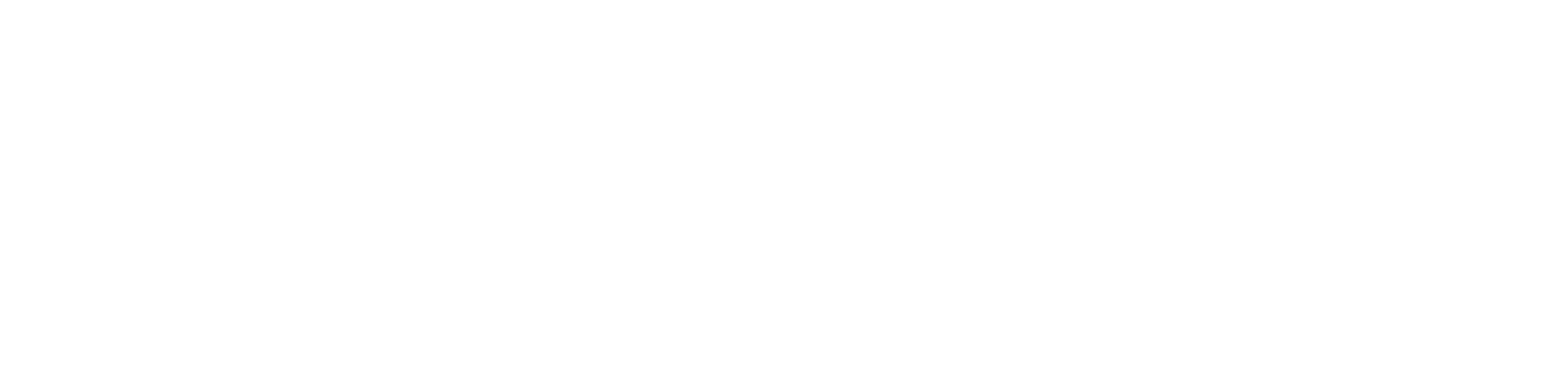 Agencja Ochrony KO-MAX