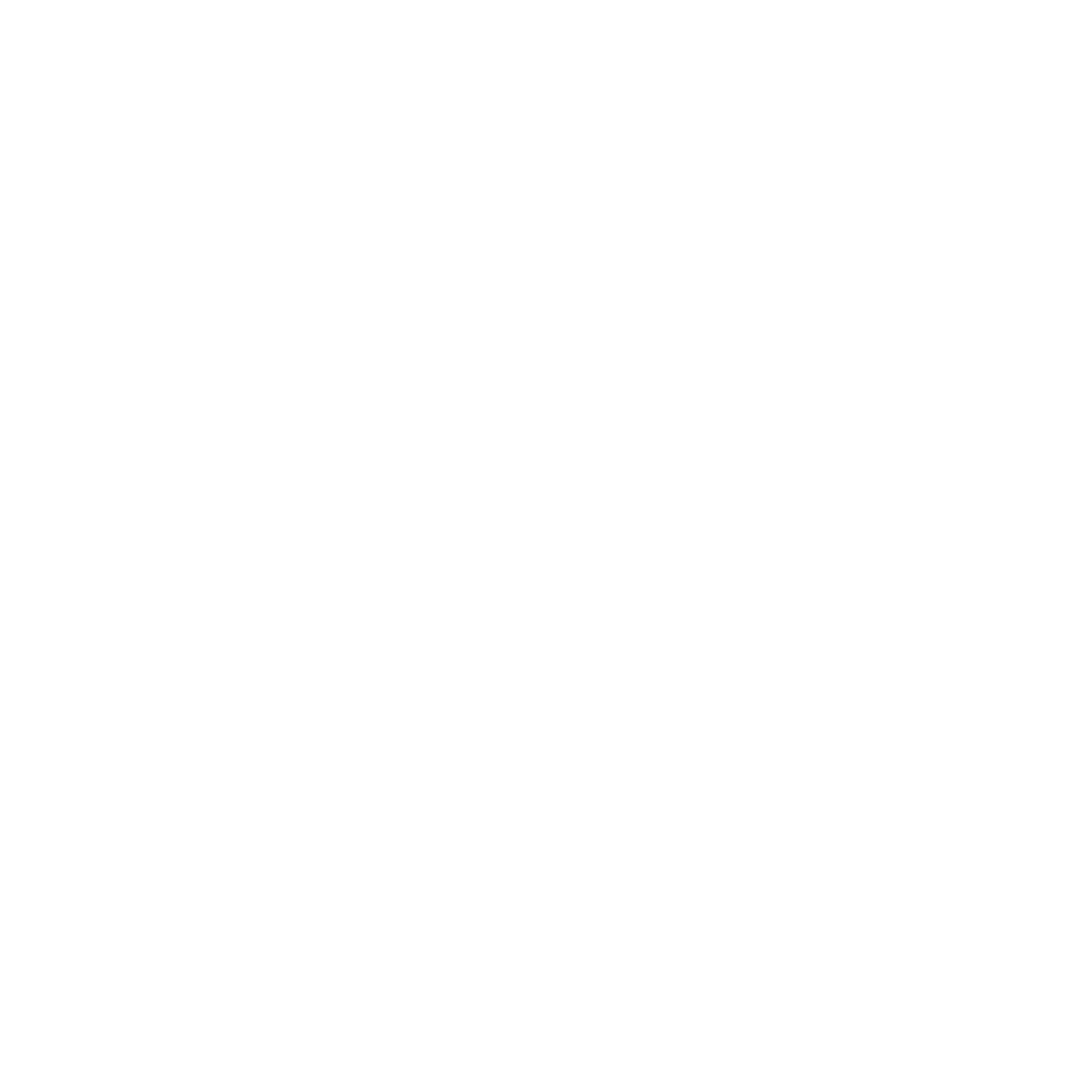 KO-MAX Ochrona Osób i Mienia